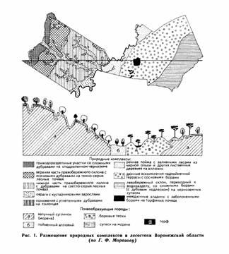 Реферат: Экономико-географическая характеристика Венгрии